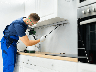 About Weston Bait Systems - bait systems experts in Weston