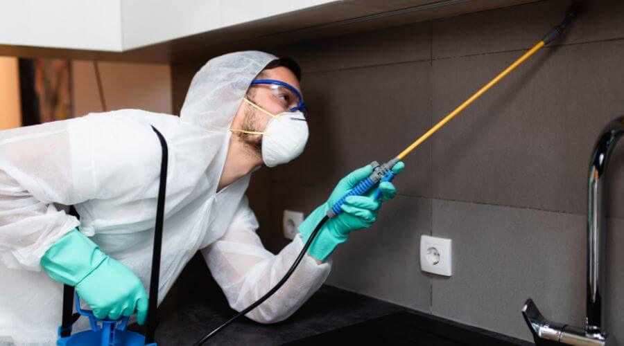 Why choose Weston Bait Systems for bait systems in Weston